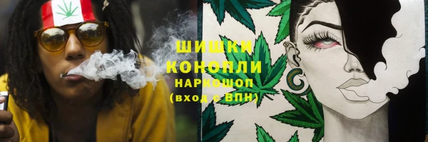 трава Абаза