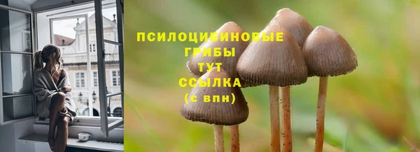 ECSTASY Абдулино