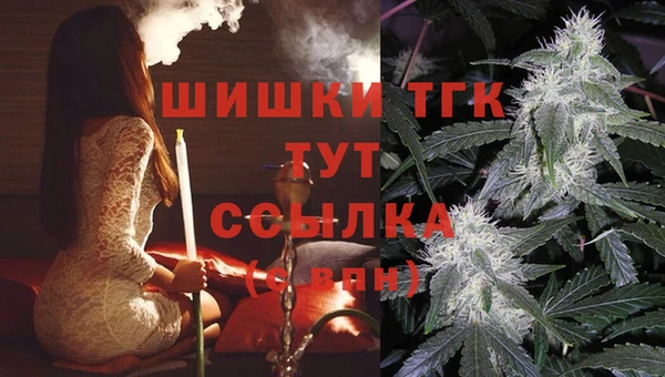хмурый Абинск