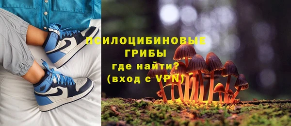хмурый Абинск