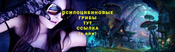 ECSTASY Абдулино