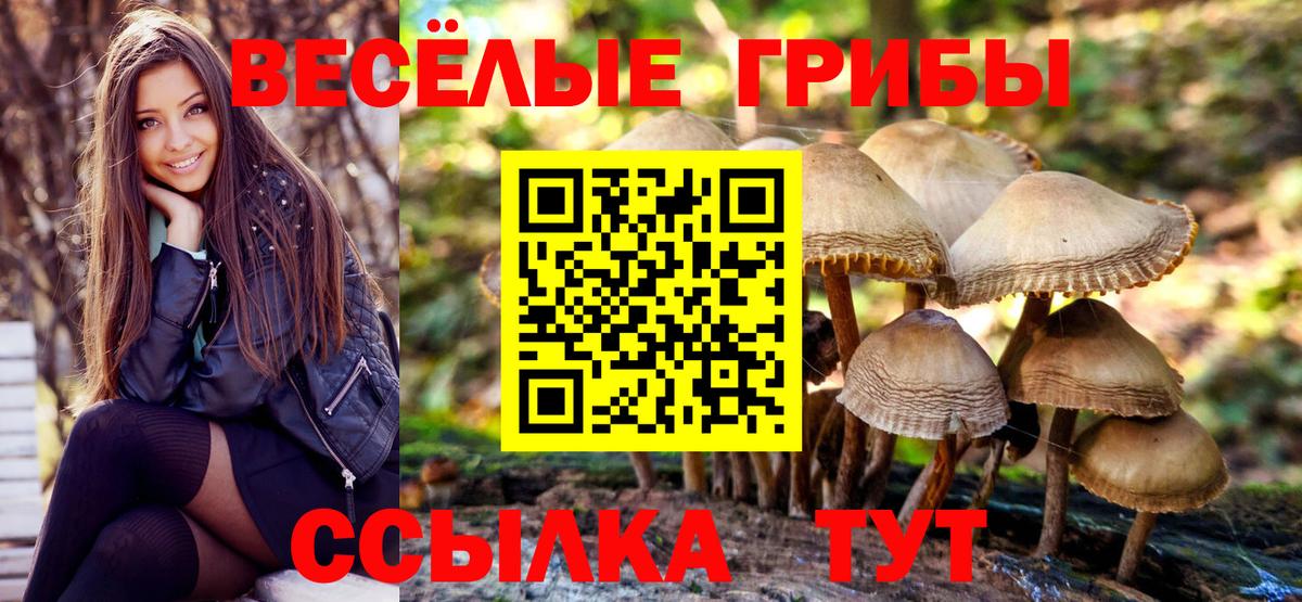 Псилоцибиновые грибы Magic Shrooms Советск