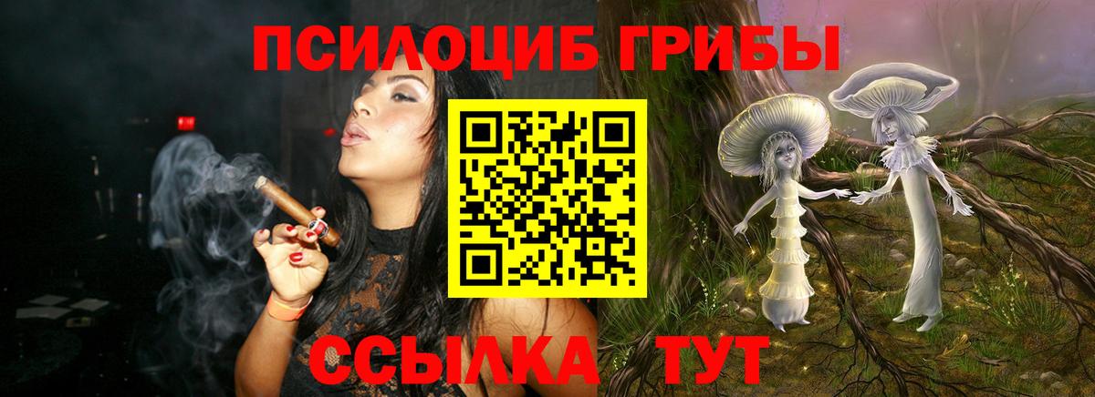 Галлюциногенные грибы Psilocybine cubensis  Вход с VPN  Советск  Псилоцибиновые грибы мухоморы 